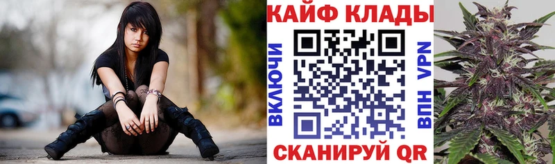 Цена Петровск-Забайкальский Галлюциногенные грибы  Бошки Шишки  СОЛЬ  АМФЕТАМИН 