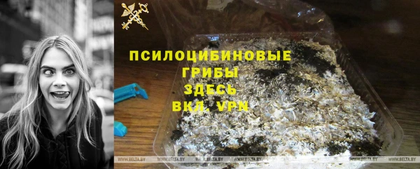 дживик Алексеевка
