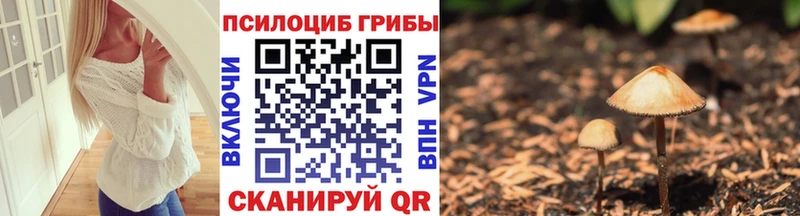 Псилоцибиновые грибы Cubensis Петровск-Забайкальский